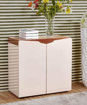 Tủ giày hiện đại TG04