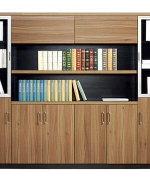 Tủ tài liệu gỗ 2 cánh kính TGC05 sang trọng và hiện đại