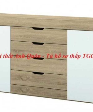 Tủ hồ sơ thấp TGC10 được yêu thích