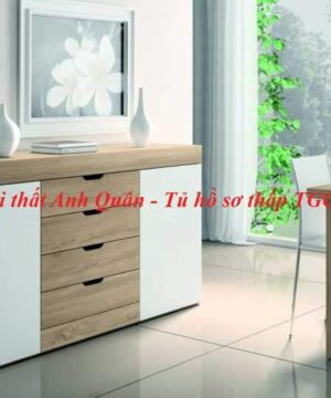 Tủ hồ sơ thấp TGC10