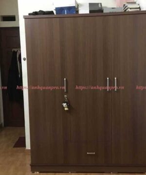Tủ quần áo giá rẻ TGCN11