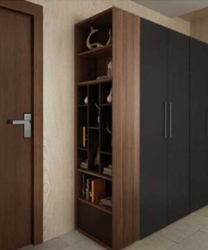 tủ quần áo hiện đại TGCN21
