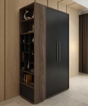 Tủ quần áo hiện đại TGCN21 - 1