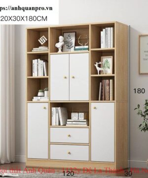 Kệ tủ sách hiện đại sang trọng KSG09