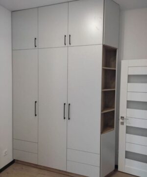 Tủ quần áo cánh mở hiện đại TGCN34