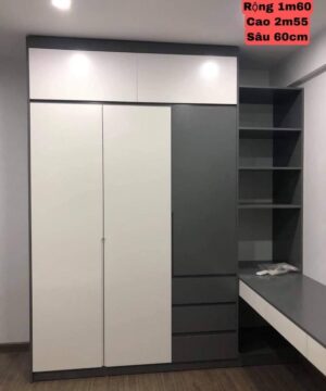 Tủ quần áo cánh mở hiện đại TGC43