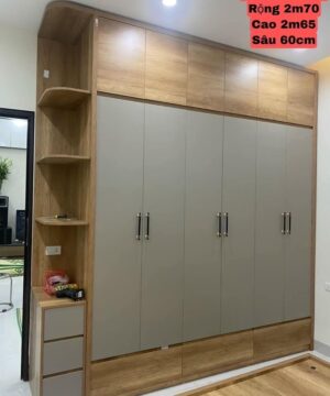 Tủ quần áo sang trọng và hiện đại TGCN45