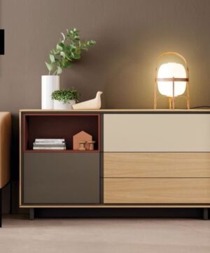 Tủ thấp trang trí TBP09
