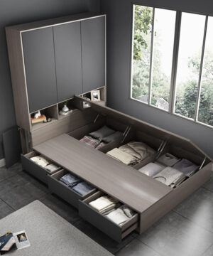 Giường Ngủ thông minh Liền Tủ Quần Áo Giá Rẻ - GT 01