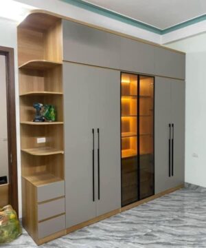 Tủ quần áo hiện đại TQA19