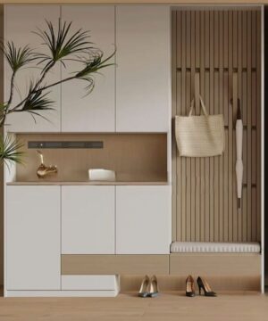 Tủ để giày dép hiện đại TG32
